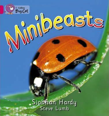 Minibeasts - Siobhan Hardy