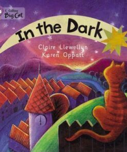 In The Dark - Claire Llewellyn