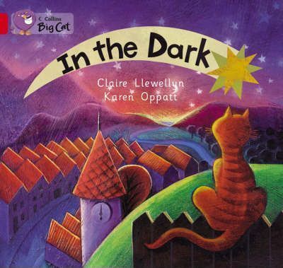 In The Dark - Claire Llewellyn