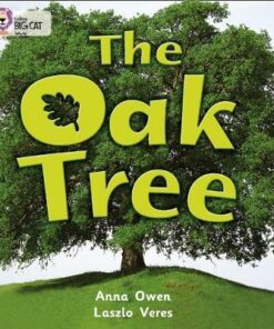 Oak Tree - Anna Owen