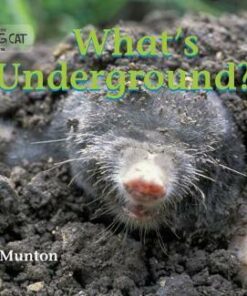 What's Underground - Gill Munton