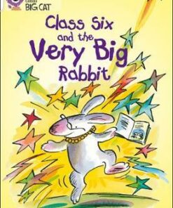Class Six And The Very Big Rabbit - Martin Waddell