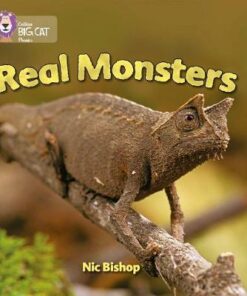 Real Monsters: Band 03/Yellow (Collins Big Cat Phonics) - Nic Bishop