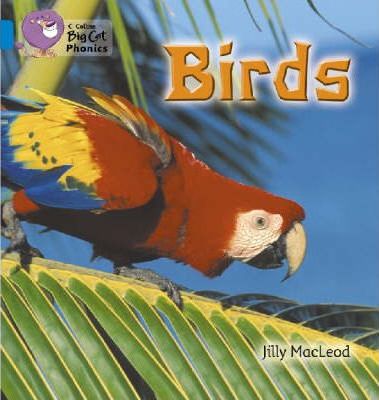 Birds: Band 04/Blue (Collins Big Cat Phonics) - Jilly McLeod