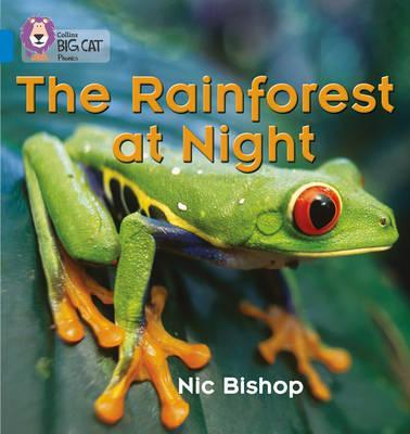 The Rainforest at Night: Band 04/Blue (Collins Big Cat Phonics) - Nic Bishop