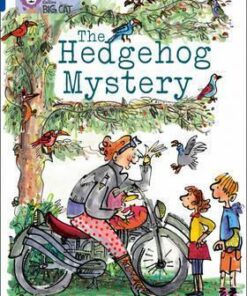 Hedgehog Mystery - Ally Kennen