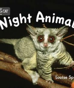 Night Animals - Louise Spilsbury