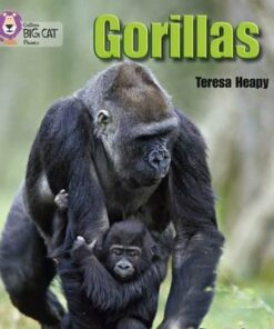 Gorillas - Teresa Heapy