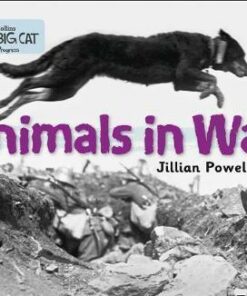 Animals in War: Band 04 Blue/Band 17 Diamond - Jillian Powell
