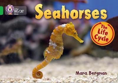 Seahorses - Collins Big Cat