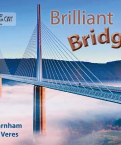 Brilliant Bridges - Collins Big Cat