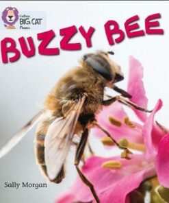 Buzzy Bees: Band 04/Blue (Collins Big Cat Phonics) - Sally Morgan