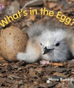 What's in the Egg? - Moira Butterfield