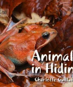 Animals in Hiding - Charlotte Guillain