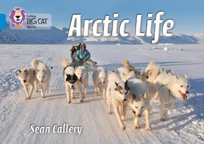 Arctic Life - Sean Callery