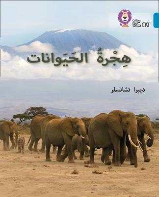 Animal Migration: Level 13 (Collins Big Cat Arabic Reading Programme) - Deborah Chancellor