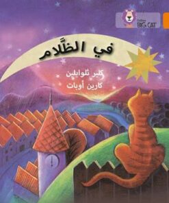 In the Dark: Level 6 (Collins Big Cat Arabic Reading Programme) - Claire Llewellyn