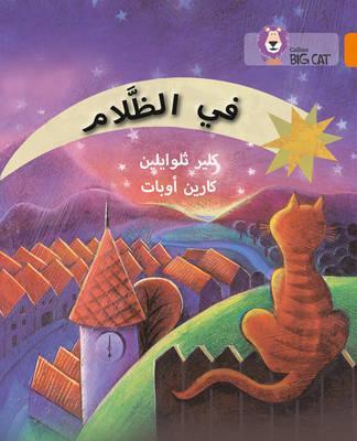 In the Dark: Level 6 (Collins Big Cat Arabic Reading Programme) - Claire Llewellyn