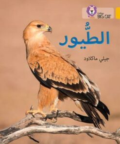 Birds: Level 9 (Collins Big Cat Arabic Reading Programme) - Jilly Macleod