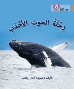 Journey of Humpback Whales: Level 12 (Collins Big Cat Arabic Reading Programme) - Andy Belcher