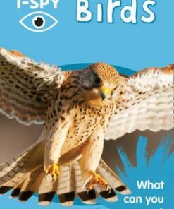 i-SPY Birds: What can you spot? (Collins Michelin i-SPY Guides) - i-SPY