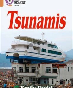 Tsunamis - Emily Dodd