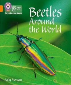 Collins Big Cat Phonics for Letters and Sounds - Beetles Around the World: Band 6/Orange - Collins Big Cat
