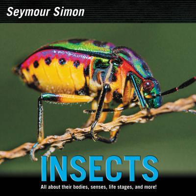 Insects - Seymour Simon
