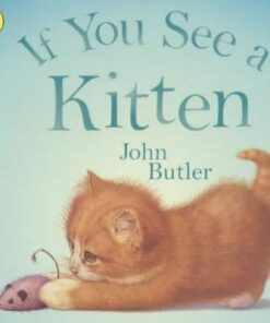 If You See A Kitten - John Butler