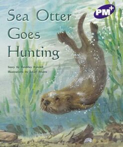 PM+ Storybooks Level 19: Sea Otter Goes Hunting - Beverley Randell
