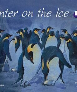 PM+ Storybooks Level 20: Winter on the Ice - Beverley Randell