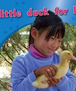 PM Photo Stories Level 3: A Little Duck for Lily -