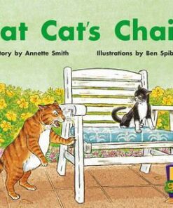 PM Gems Level 9: Fat Cat's Chair -
