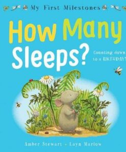 My First Milestones: How Many Sleeps? - Amber Stewart