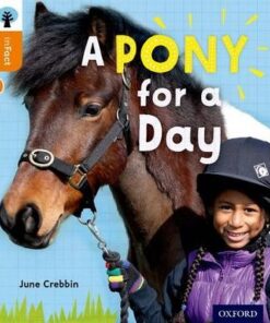 A Pony for a Day - June Crebbin
