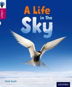 A Life in the Sky - Kate Scott