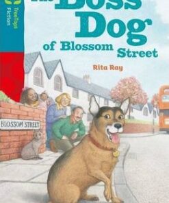 Oxford Reading Tree TreeTops Fiction: Level 9 More Pack A: The Boss Dog of Blossom Street - Rita Ray