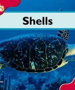 Shells - Lesley Pether