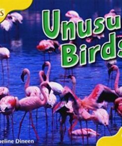 Unusual Birds - Jacqueline Dineen