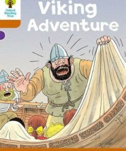 Viking Adventure - Roderick Hunt