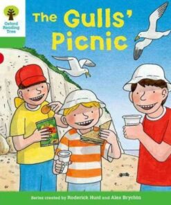 The Gull's Picnic - Roderick Hunt