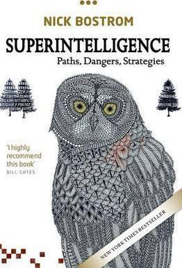Superintelligence: Paths