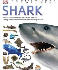Shark - DK