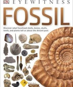 Fossil - DK