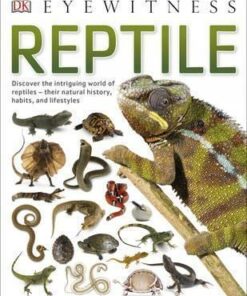 Reptile - DK