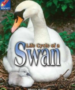 Life Cycle of a Swan - Monica Hughes