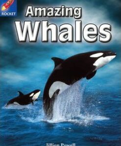 Amazing Whales - Jillian Powell
