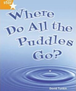 Where Do All The Puddles Go? - David Tunkin