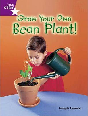 Grow Your Own Bean Plant! - Joseph Ciciano