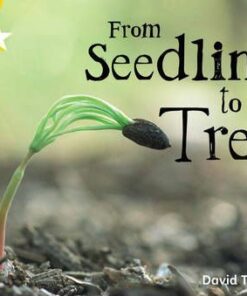 From Seedling To Tree - David Tunkin